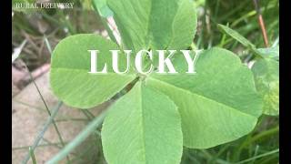 Lucky