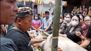 Acara Ngeringkes Aiptu I Ketut Suarbawa, 10 Januari 2023