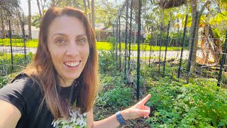 Racing the Sun: Get Spring Garden Cleanup Done Before it's Too Late!