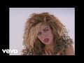 Taylor Dayne - Tell It To My Heart