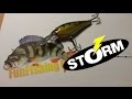 Présentation Test Storm Smash Shad 5cm mp3