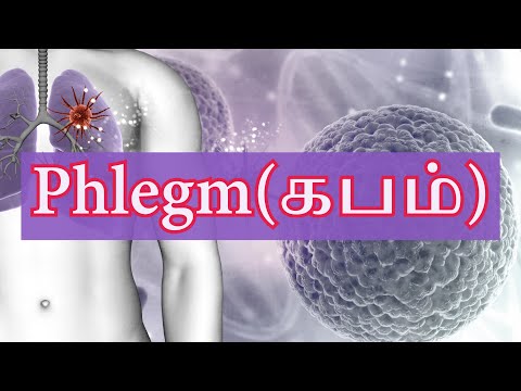 கபம்|Phlegm|சளி என்றால் என்ன?|What is a Cold?|Mucus Formation and its Causes|How to Avoid a Cold