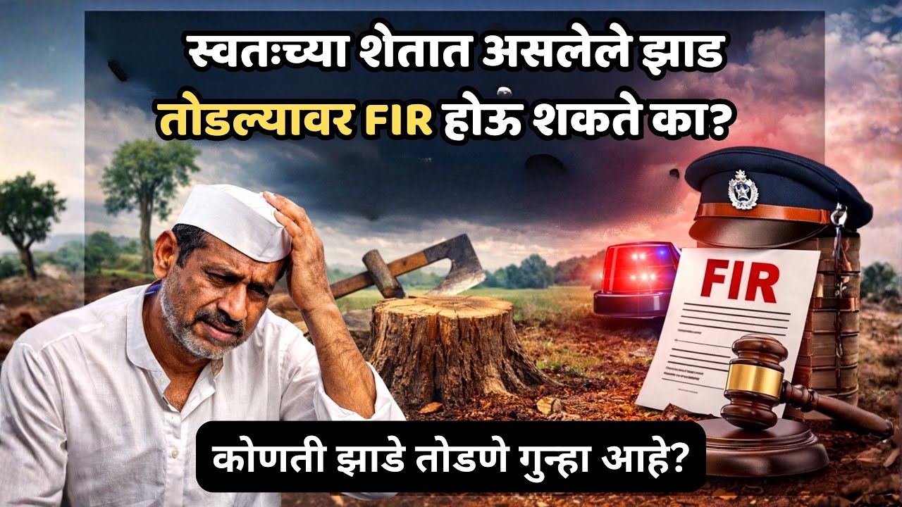स्वतःच्या शेतातील झाड तोडताना परवानगी लागते का? दंड आणि नियम | परवानगी कशी मिळवावी?