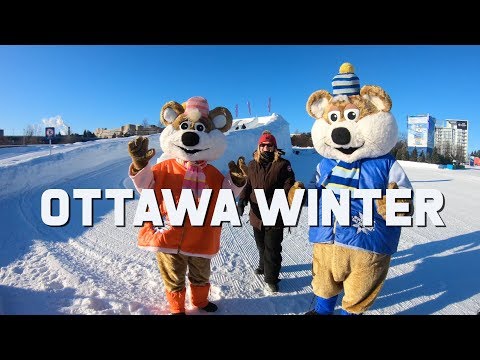 Video: Winterlude Visitors Guide in Ottawa