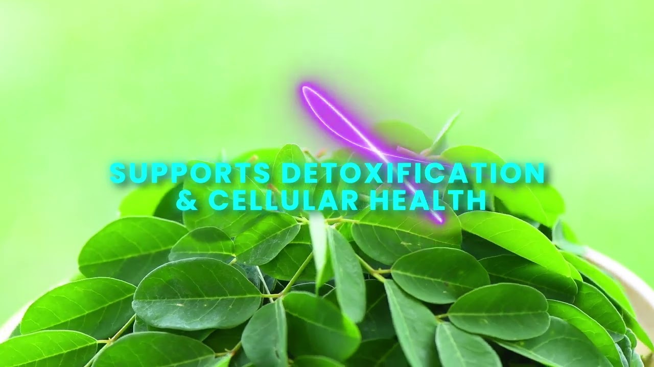 V NITRO by Vital Health Global