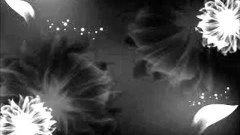 Sims 3 How to get Buydebug to work