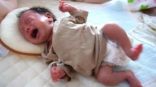 【29 Days After Birth】 The Baby Cries LoudlyThis Angry Won't Stop