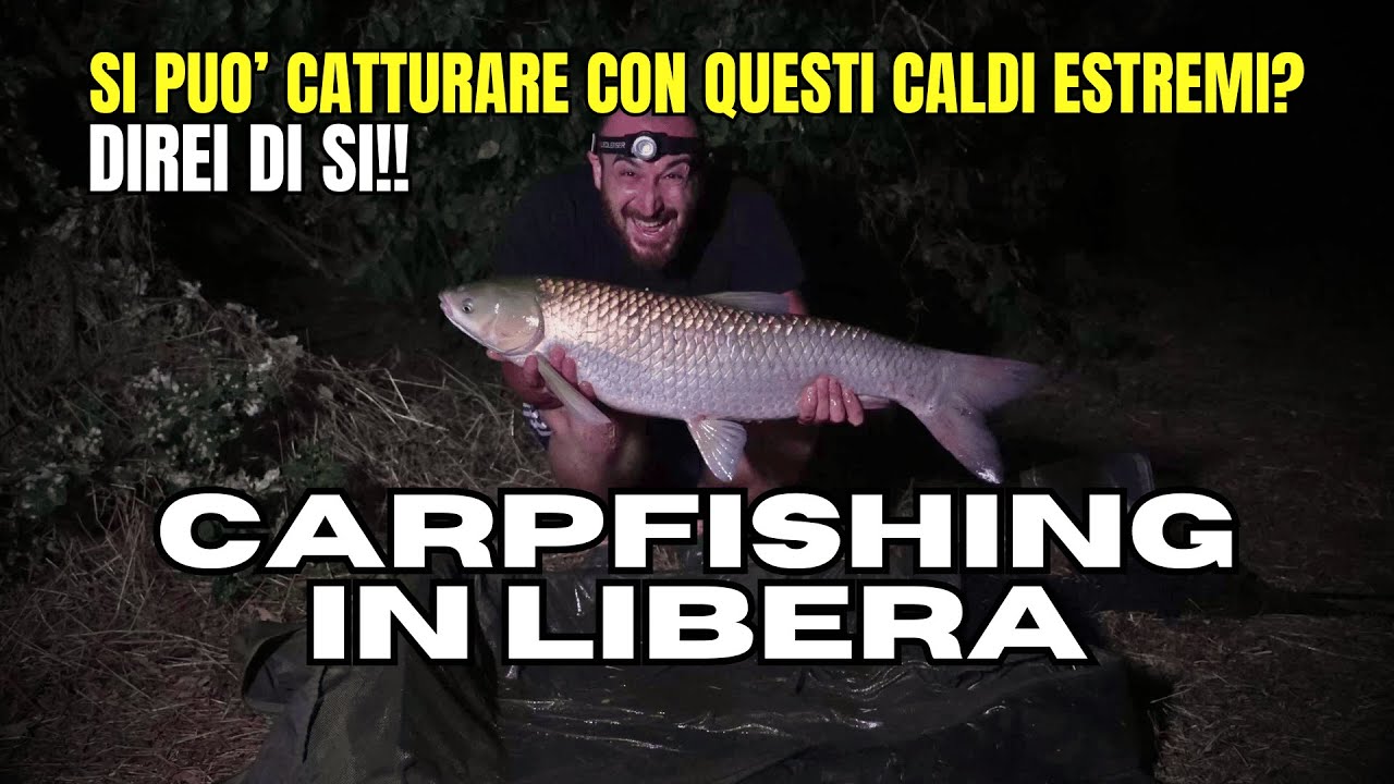 Carpfishing in libera