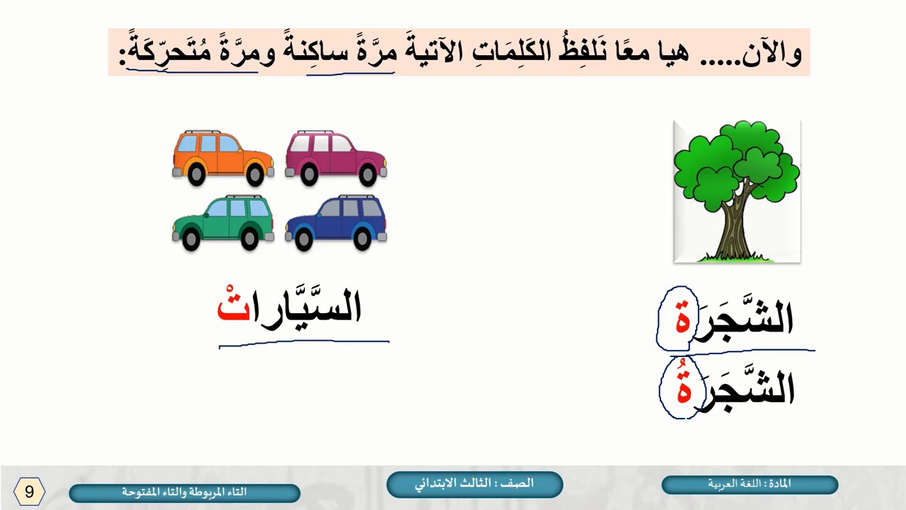 التالية التاء فيه المواضع من تاء مفتوحة؟ تكتب أي من علامات