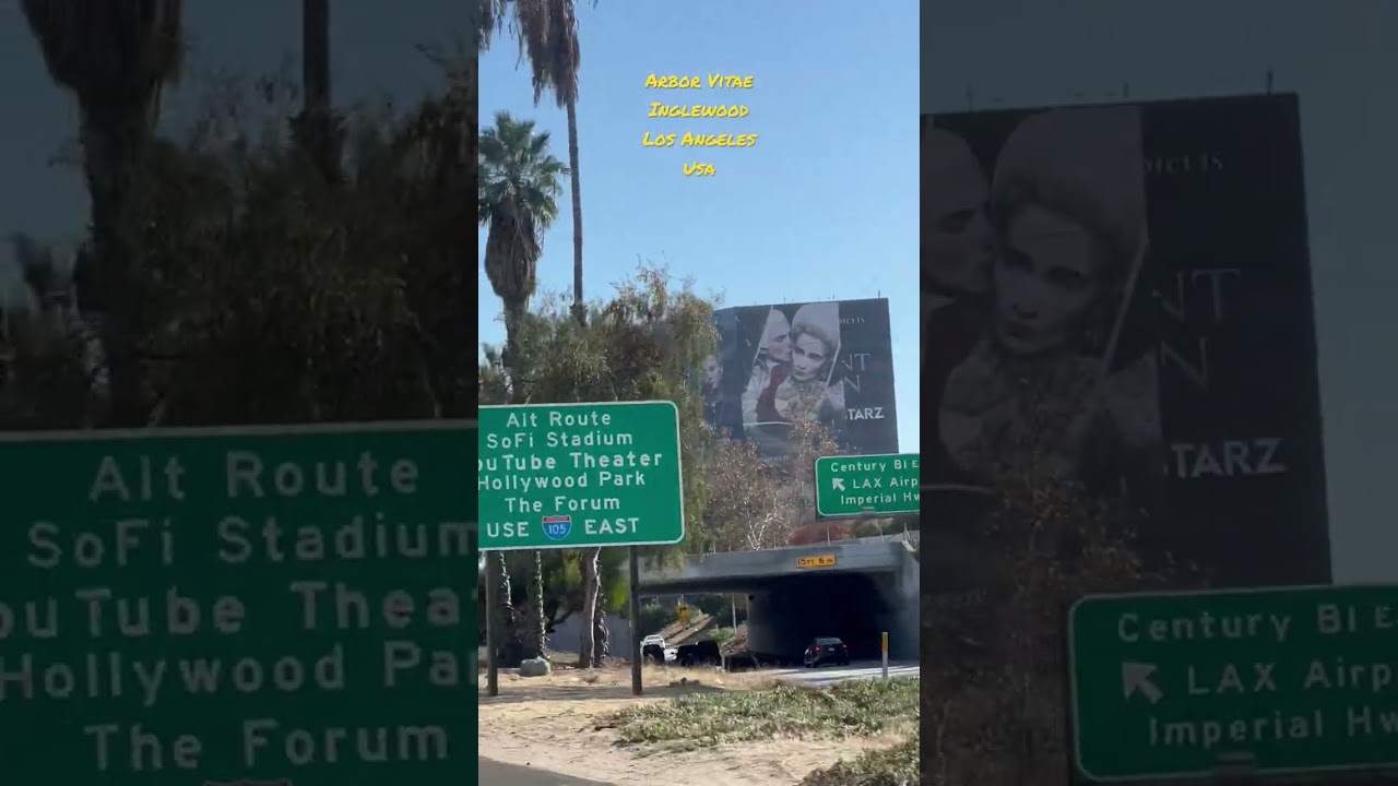 Arbor Vitae ,Inglewood , Los Angeles , Usa , 258