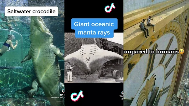 Things That Are WAY Bigger Than You Think | TikTok Compilation