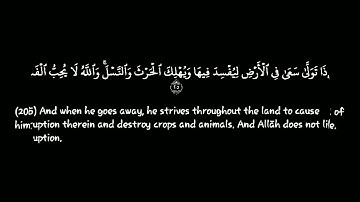سورةالبقرة| الآيات {204-207}|القارئ: مشاري راشد العفاسي| كروما | قرآن خلفية سوداء