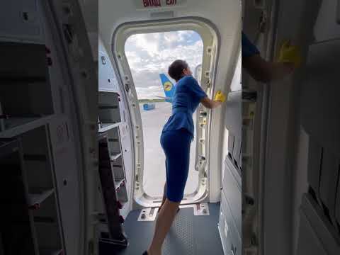 737 800 DOOR