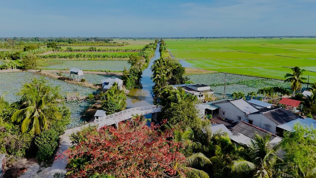 Mùng 2 Tết Ở Quê | Đậm Chất Miền Tây Sông Nước