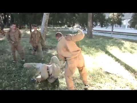 Kỹ năng thực chiến của môn võ nga kadochnikov systema - youtube