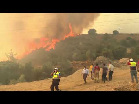 Bakan Soylu, Kemerköy Termik Santrali'ne yaklaşan yangının olduğu bölgede incelemelerde bulundu