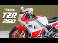 Yamaha TZR 250 [Hasegawa 1/12 Scale] Plastic Model Kit Unboxing and Full Build