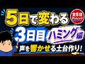 【5日間連続ボイトレ3日目】ハミングを最大に活用しよう!