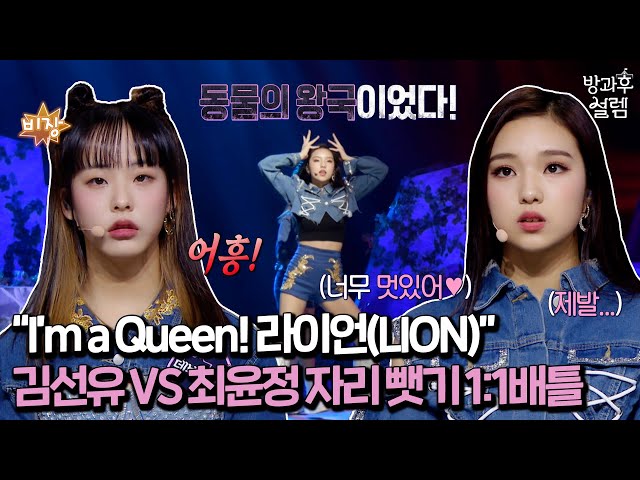 [EN/JP] I'm a Queen! 두 라이언(LION)중 승자는? class=