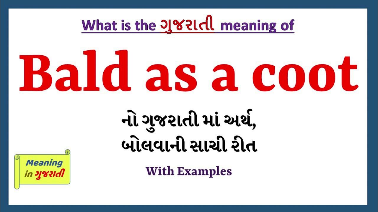 bald-as-a-coot-meaning-in-gujarati-bald-as-a-coot