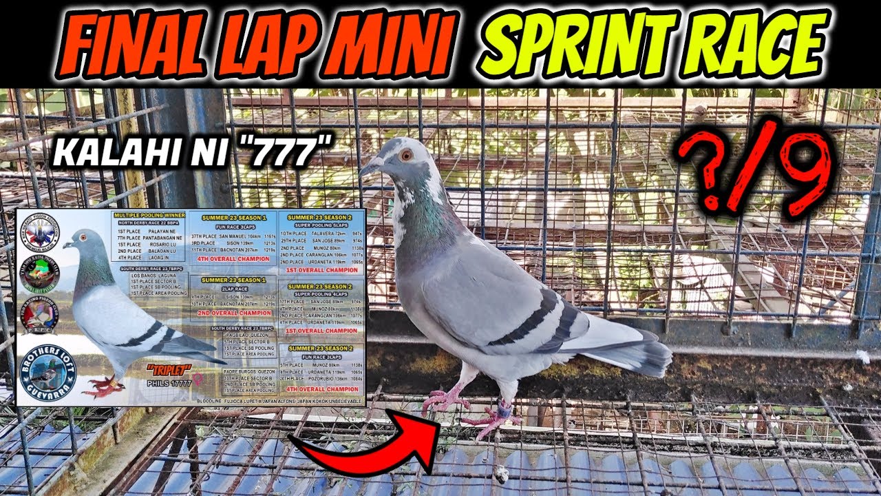 LAST LAP MINI SPRINT RACE TIAONG, QUEZON SOUTH 23-24 ARRIVAL