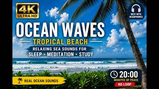 Relaxing Ocean Waves & Tropical Beach Sounds 🌊 20 Minutes of Peaceful Nature Sounds
