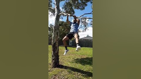 Guy Breaks Tree Branch And Falls After Trying To Hang Onto It - 1150843