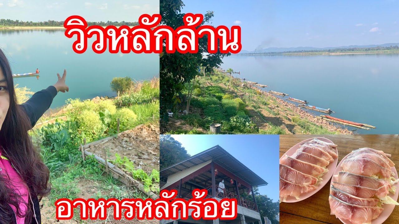 อาหารหลักร้อย วิวหลักล้าน @ครัวริมโขง บ้านแพง นครพนม | เนื้อหาที่เกี่ยวข้องร้านอาหาร นครพนมที่มีรายละเอียดมากที่สุดทั้งหมด