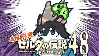 【はじめてのゼルダの伝説】＃48　コログー！実いらねぇから顔だけ出してーー！【BotW】