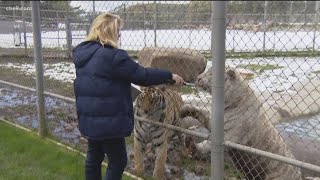 Lions tigers and bears launched a petition for the usda to remove
animals from g.w. zoo that has been dubbed "zoo of horrors".