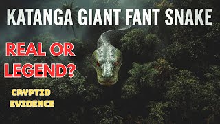 Katanga Giant Snake: UMA Mystery of the Congo River (1959 Photo, Witness & Scientific Theories)