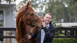 Caro s Crystal Ball 2024 Inglis The Chairman s Sale