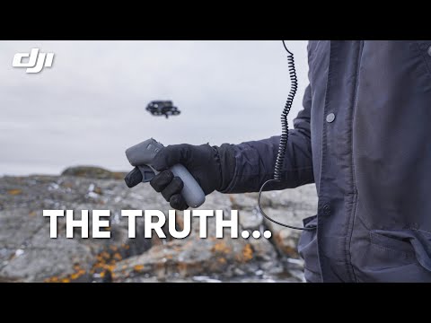 The Truth about