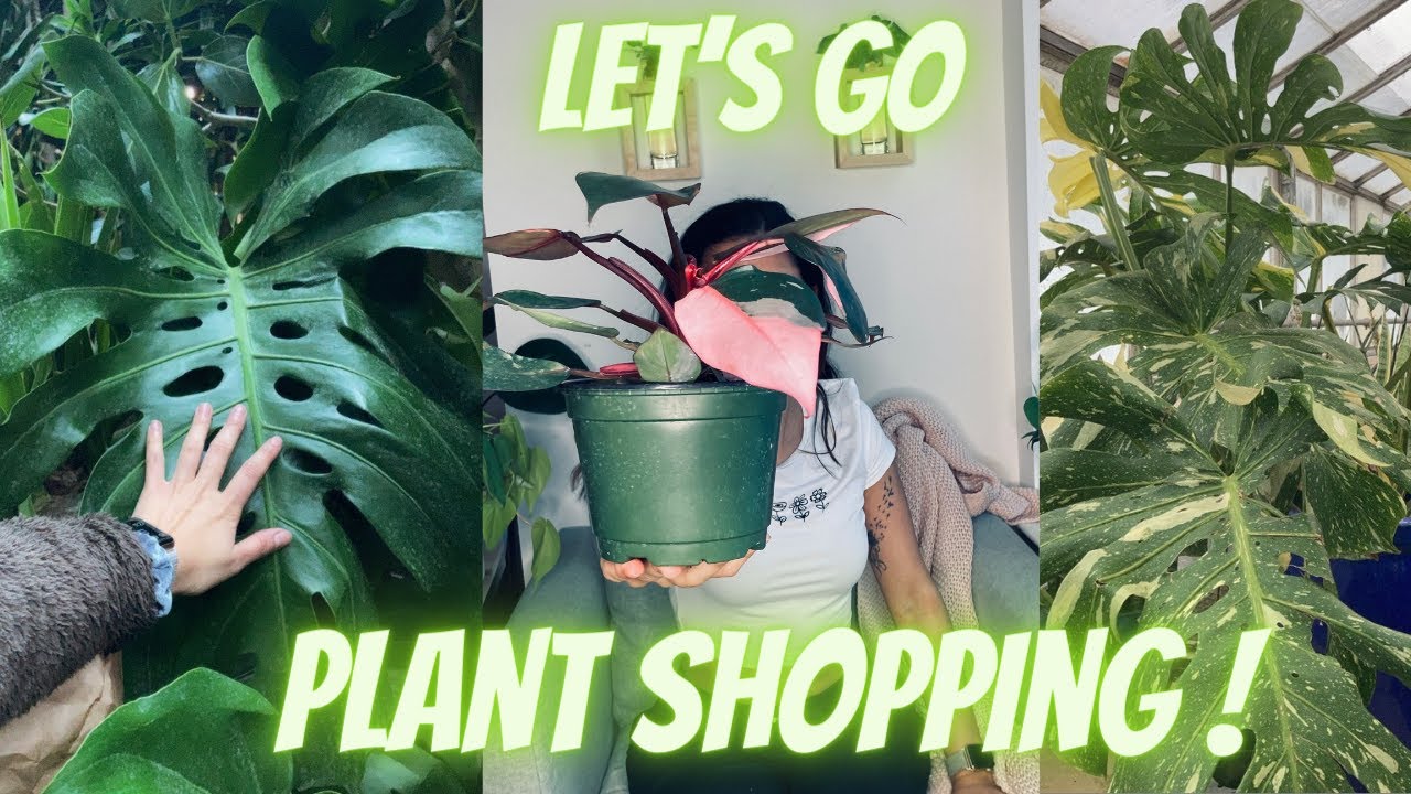 Exploring the Plant World One Garden At a Time!