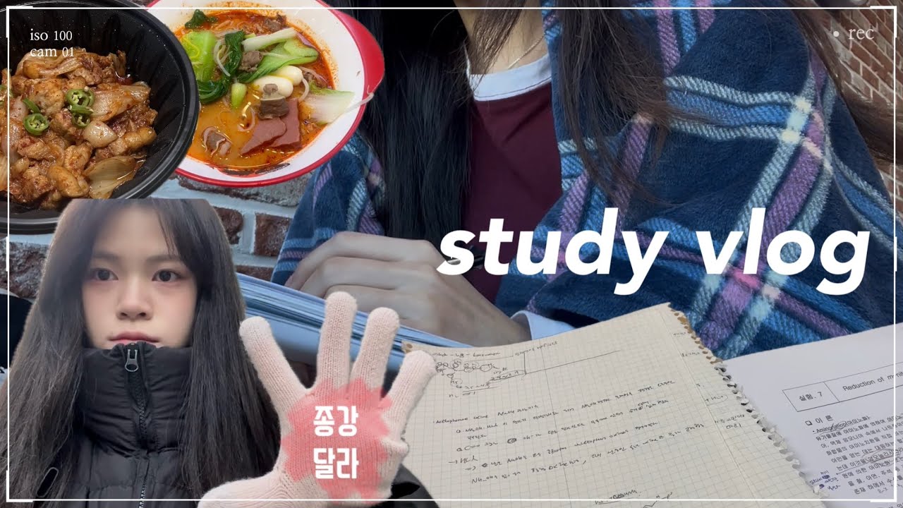 대학생 vlogㅣ공부하고 밥만 먹는 브이로그ㅣ끝나지 않는 시험…🫠ㅣ다시는 6전공 안 듣는다