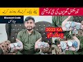 Latest watch collection pakistan 2023  affordable men wrist watches  trending circle vlogs