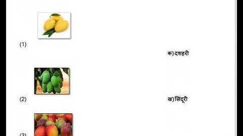 NDMC CLASS 3RD  EVS WORKSHEET WEEK 3 TOPIC  DILLI KE MAUSAM  GARMI