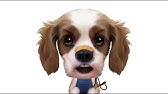 Joyeux Anniversaire Chante Par Des Chiens Youtube