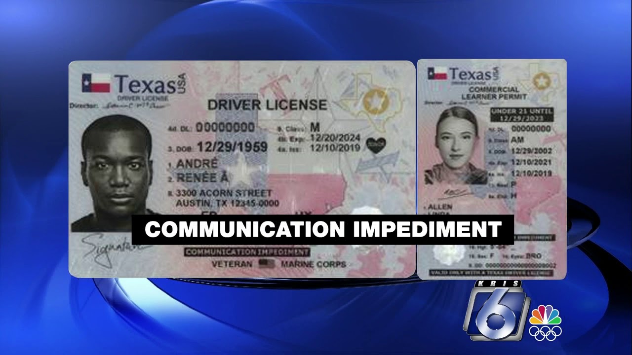 texas drivers license audit number change when renew