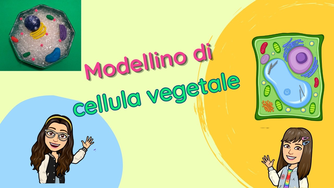 Modellino di cellula vegetale-Tutorial