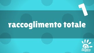 scomposizioni - raccoglimento totale 1