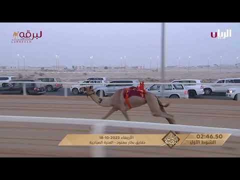 ش1 لحظه ل مشلش سعيد محمد الخيارين الهاجري ميدان لبصير بالمحلي الرابع 18 10 2023 حقايق بكار