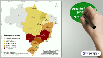Como a silvicultura chegou no Brasil?