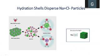 Hydrophilic Substances - Hydration Shells- Hydrophobic substances 2024