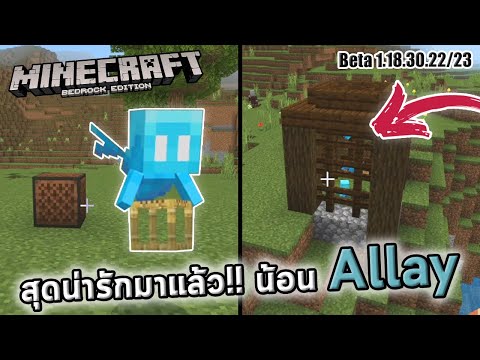 น้อง Allay มาแล้ว! | Beta 1.18.30.22/23 | update Minecraft 1.19