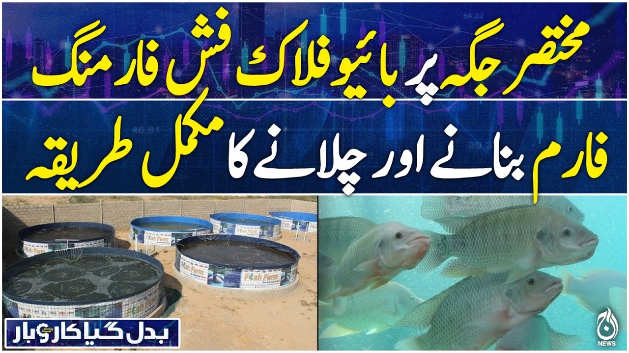 Badal Gaya Karobar EP-18 - Bioflok Fish Farming is a profitable business - Aaj News