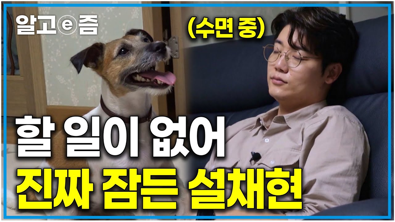 ‘세상에 나쁜 개는 없다 최초로 문제가 하나도 없는 개’ 너무 모범적인 보호자와 너무 잘 자라준 반려견에 할 솔루션이 없는 설채현｜세상에 나쁜 개는 없다｜알고e즘