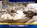 Prey rides the predator as video of frog sitting on snake goes viral