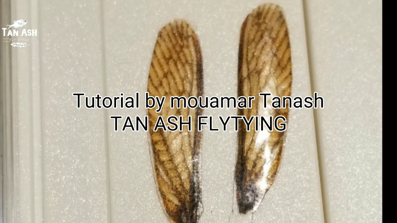 DIY realistic wings for any flies with smartphone and printer