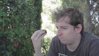 Vampiros Veganos Team Chancleta